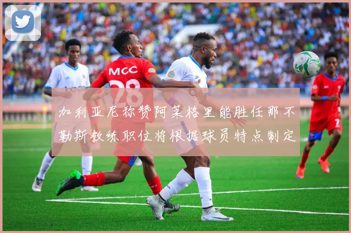 加利亚尼称赞阿莱格里能胜任那不勒斯教练职位将根据球员特点制定战术