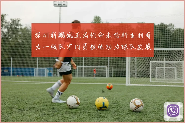 深圳新鹏城正式任命米伦科吉利奇为一线队守门员教练助力球队发展