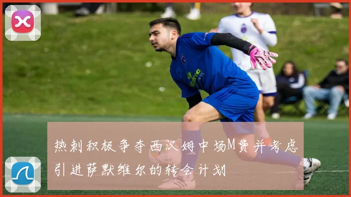 热刺积极争夺西汉姆中场M费并考虑引进萨默维尔的转会计划